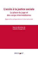 L'accès à la justice sociale, La place du juge et des corps intermédiaires