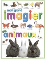 Mon grand imagier des animaux, tome 3 Lise-Eliane Pomier