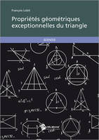 PROPRIETES GEOMETRIQUES EXCEPTIONNELLES DU TRIANGLE