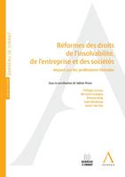 Réformes des droits de l'insolvabilité, de l'entreprise et des sociétés, Impact sur les professions libérales