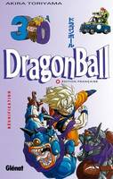 Dragon Ball., 30, Réunification, Réunification