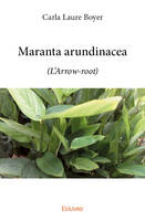 Maranta arundinacea, (L’Arrow-root)
