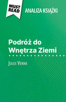 Podróż do Wnętrza Ziemi, książka Jules Verne