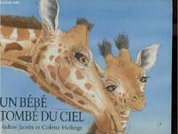 Bebe tombe du ciel (Un)