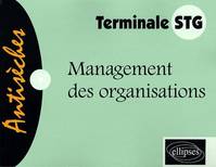 Management des organisations - Terminale STG