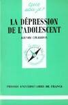 Depression de l'adolescent (la)