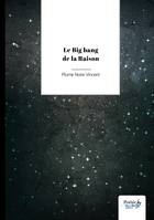 Le Big Bang de la Raison