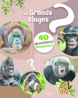 Les grands singes - 40 questions / réponses