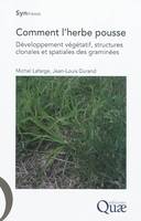 Comment l'herbe pousse, Développement végétatif, structures clonales et spatiales des graminées