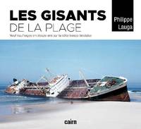 Les gisants de la plage, Neuf naufrages en douze ans sur la côte basco-landaise