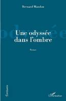 Une odyssée dans l'ombre, Roman