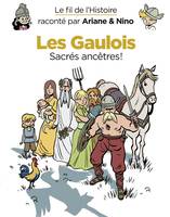 Le fil de l'Histoire raconté par Ariane & Nino - Les Gaulois