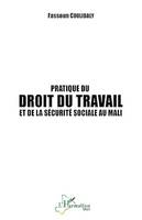 Pratique du droit du travail et de la sécurité sociale au Mali