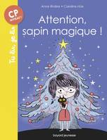 Attention, sapin magique !, Suzie et Mehdi T2