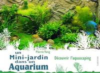 Un mini jardin dans un aquarium