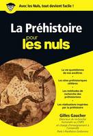 La Préhistoire pour les Nuls , Poche