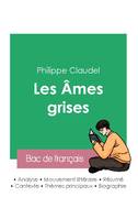 Réussir son Bac de français 2023 : Analyse des Âmes grises de Philippe Claudel