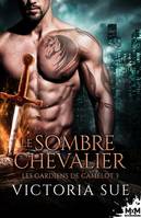 3, Le sombre chevalier, Les gardiens de Camelot, T3