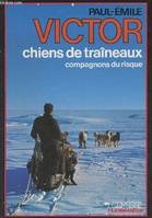 Chiens de traineaux, compagnons du risque, compagnons du risque