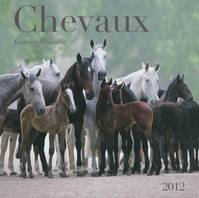 Chevaux 2012: le calendrier