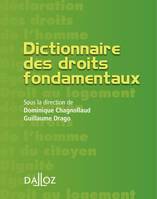 Dictionnaire des droits fondamentaux - 1re ed., Petits dictionnaires Dalloz