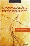 Le voyage de l'âme entre deux vies - transferts de conscience, réincarnation et immortalité