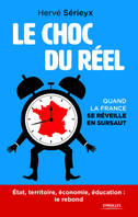 Le choc du réel, Quand la France se réveille en sursaut. Etat, territoires, économie, éducation : le rebond.