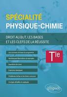 Spé Physique-chimie - Terminale, Droit au but, les bases et les clefs de la réussite