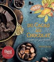 Du cacao au chocolat, L'épopée d'une gourmandise