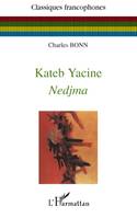 Nedima de Kateb Yacine, Essai sur la structure formelle du roman