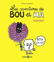 1, Les aventures de Bou et Ha, Tome 01, Surprises !