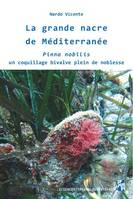 La grande nacre de Méditerranée, Pinna nobilis, Un coquillage bivalve plein de noblesse