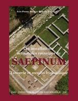 Les installations artisanales romaines de Saepinum, Tannerie et moulin hydraulique