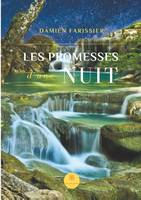 Les promesses d'une nuit, Roman