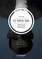 Le sous-sol, Roman social