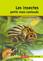 Les insectes, petits mais costauds