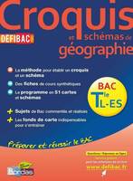 DéfiBac Cours/Méthode/Exos Croquis Géographie Tles L-ES + GRATUIT: pour 1 titre acheté, posez vos questions sur www.defibac.fr
