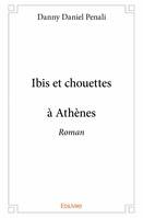 Ibis et chouettes à athènes, Roman