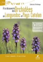 À la découverte des orchidées en Languedoc et Pays catalan