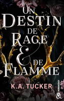 Un Destin de Rage & de Flamme, Une romantasy fascinante, un amour interdit tout en tension