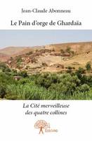 Le Pain d'orge de Ghardaïa, La Cité merveilleuse des quatre collines