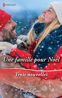 Une famille pour Noël, Le Noël de toutes les surprises - Une étreinte sous la neige - Un papa en cadeau