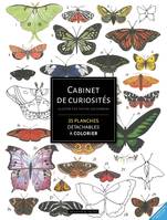 Cabinet de curiosités, 70 planches pour s'inspirer et colorier