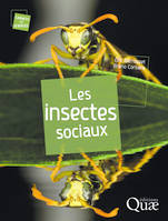 Les insectes sociaux