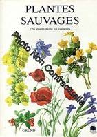 Plantes sauvages