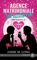 2, Agence matrimoniale surnaturelle -tome 1 à 3