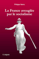 France aveuglEe par le socialisme (La)