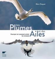 Des plumes et des ailes, Pourquoi et comment volent les oiseaux