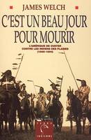 C'est un beau jour pour mourir, L'Amérique de Custer contre les Indiens des plaines (1865-1890)