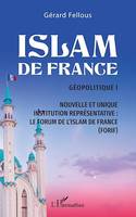 Islam de France, Géopolitique I